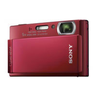 Sony DSC-T300 (DSC-T300R)